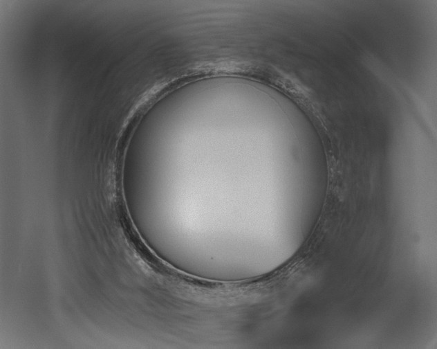 X0000052610012200507011239