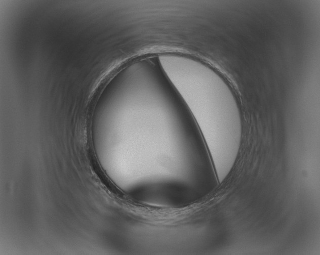 X0000052610015200507011239