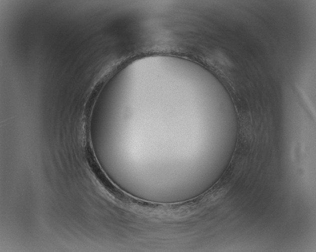 X0000052610016200507011239