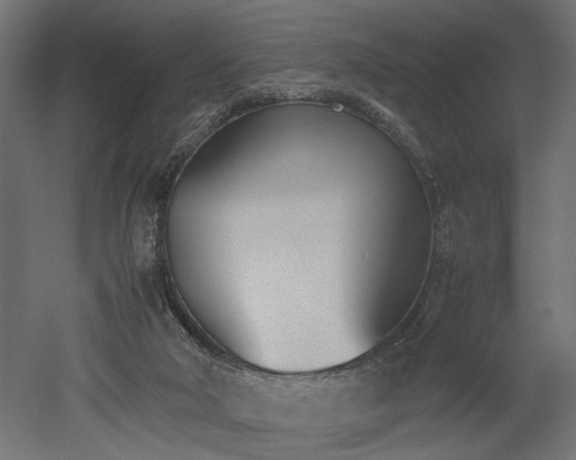 X0000052610018200507011239