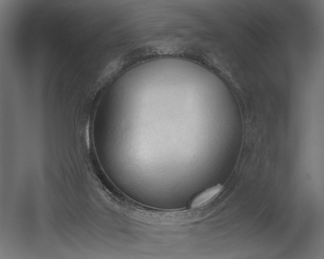 X0000052610019200507011239