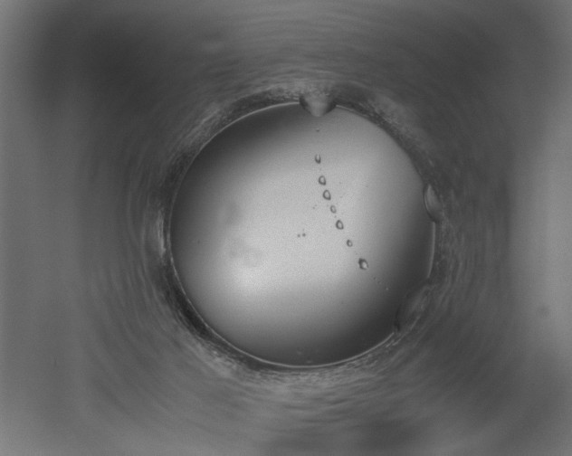 X0000052610021200507011239