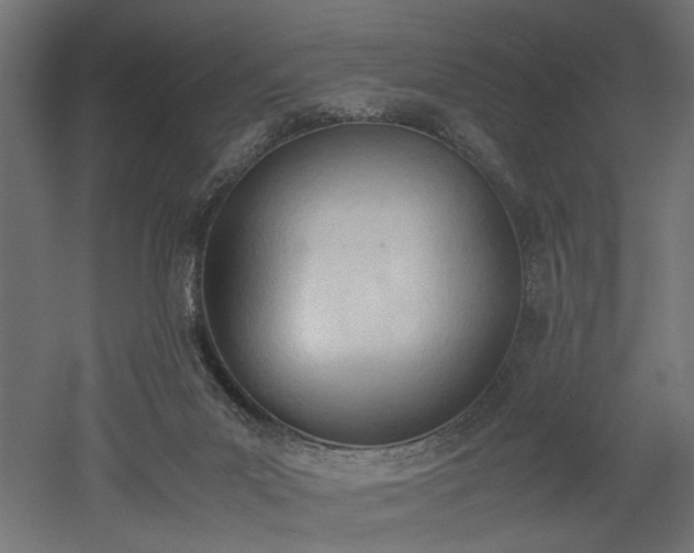 X0000052610023200507011239