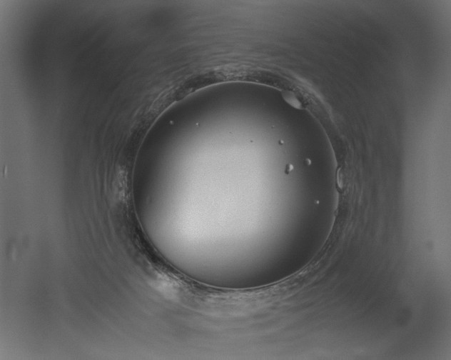 X0000052610025200507011239