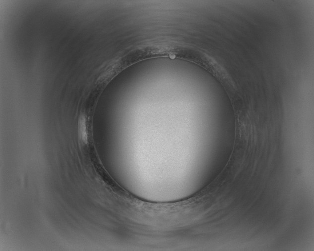 X0000052610026200507011239