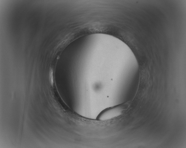 X0000052610027200507011239