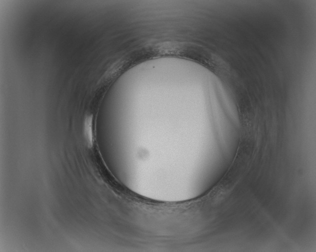 X0000052610028200507011239