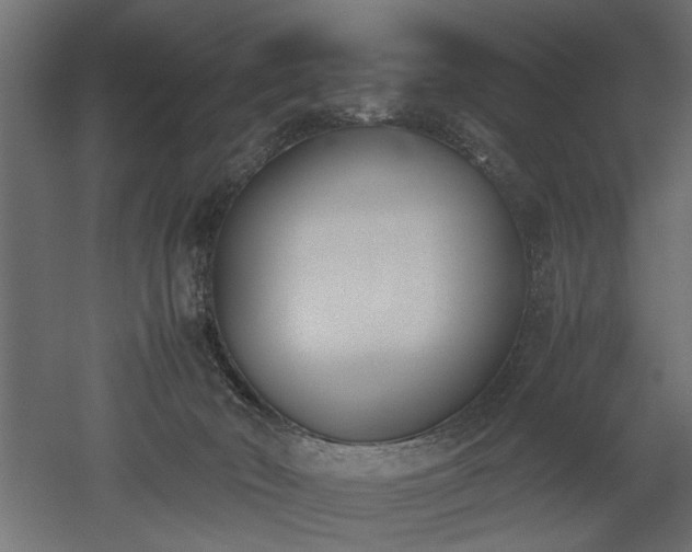 X0000052610030200507011239