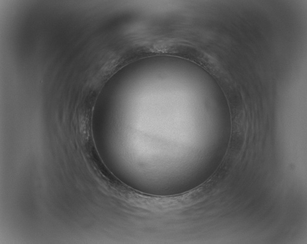 X0000052610031200507011239