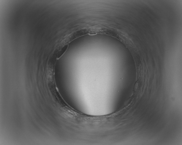 X0000052610033200507011239