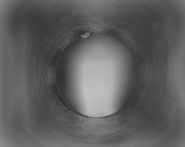 X0000052610034200507011239