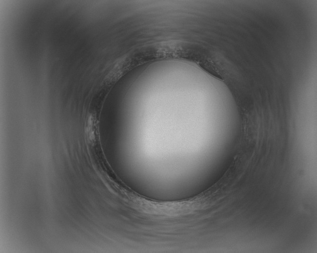 X0000052610038200507011239