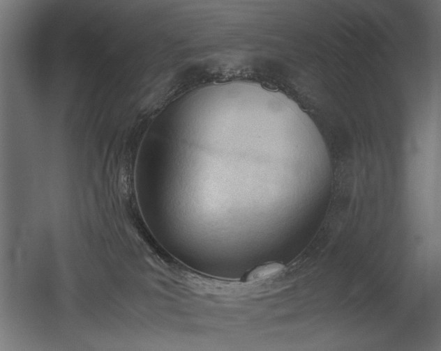 X0000052610039200507011239