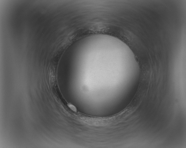 X0000052610040200507011239