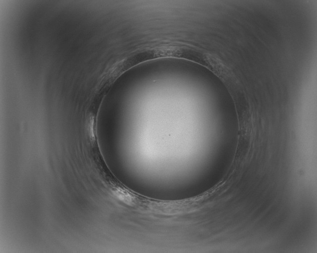 X0000052610041200507011239