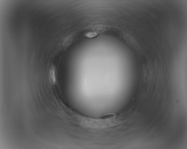 X0000052610042200507011239