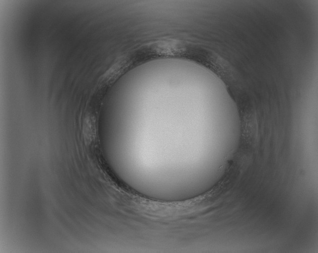 X0000052610043200507011239