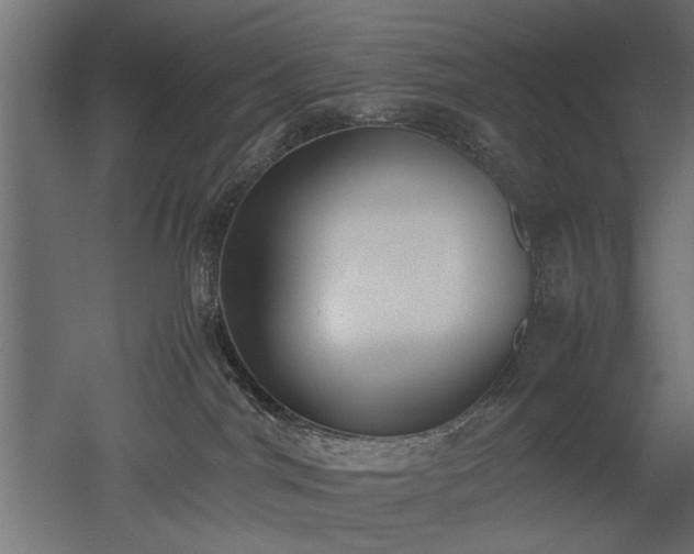 X0000052610044200507011239