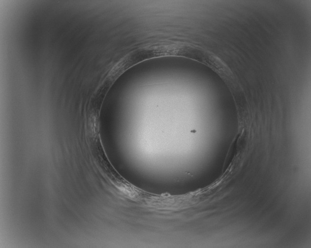 X0000052610045200507011239