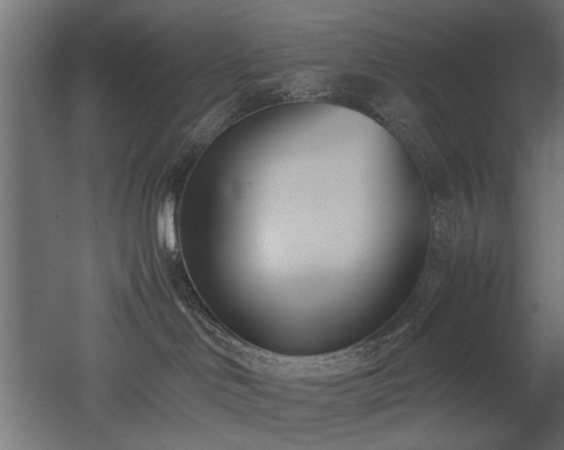 X0000052610046200507011239