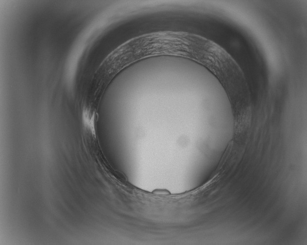 X0000052610047200507011239