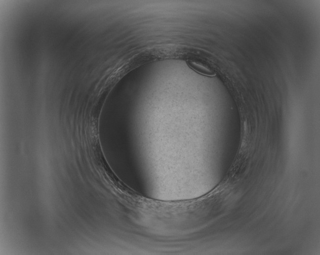 X0000052610048200507011239