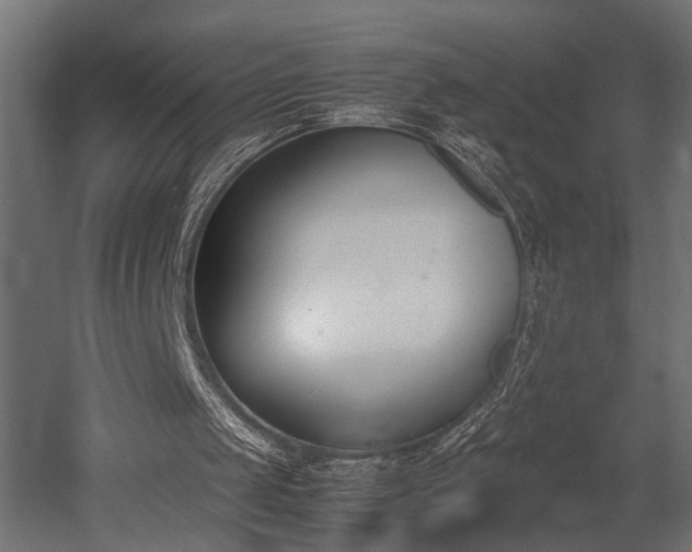 X0000052610049200507011238