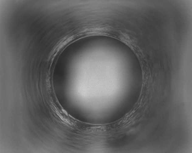 X0000052610050200507011238