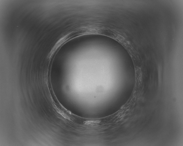 X0000052610051200507011238