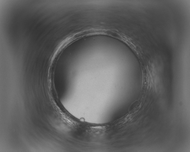 X0000052610053200507011238