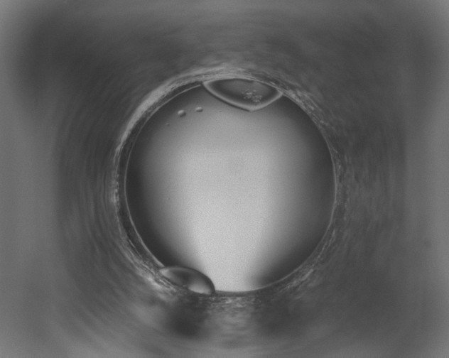 X0000052610056200507011238