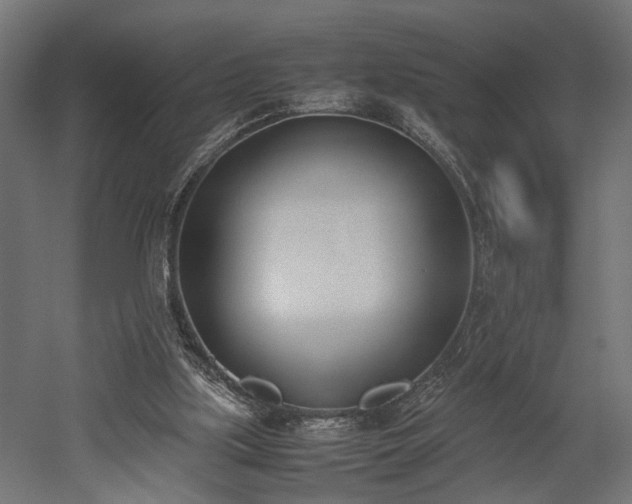 X0000052610059200507011238