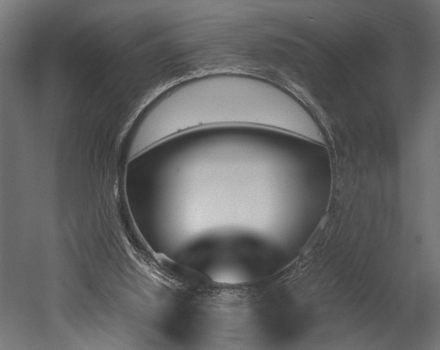 X0000052610060200507011238