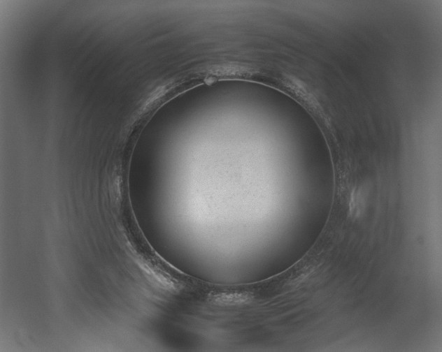 X0000052610063200507011238