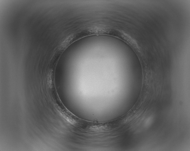 X0000052610065200507011238