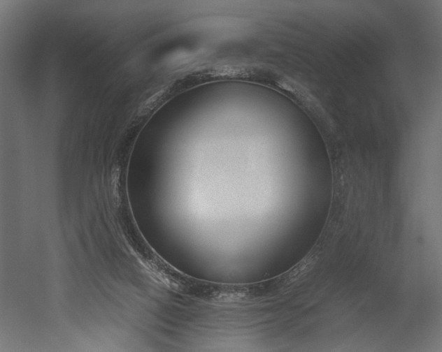 X0000052610066200507011238