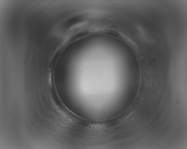 X0000052610067200507011238