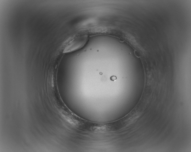 X0000052610068200507011238