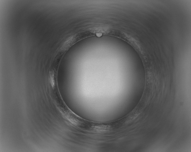 X0000052610069200507011238