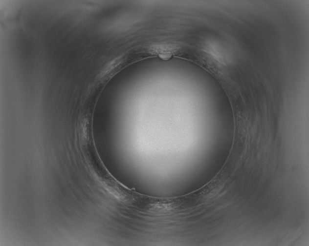 X0000052610071200507011238