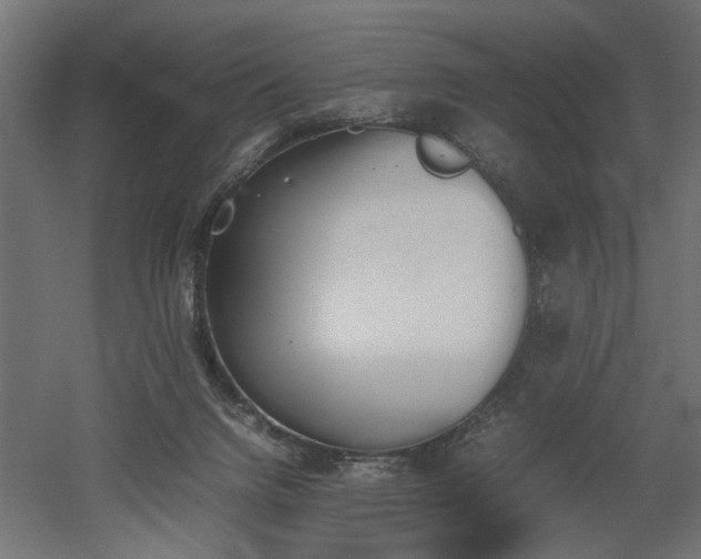 X0000052610072200507011238