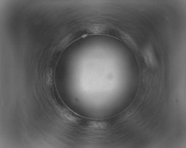 X0000052610073200507011238