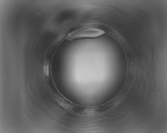 X0000052610076200507011238