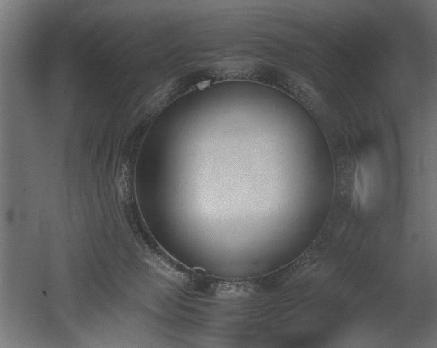 X0000052610077200507011238