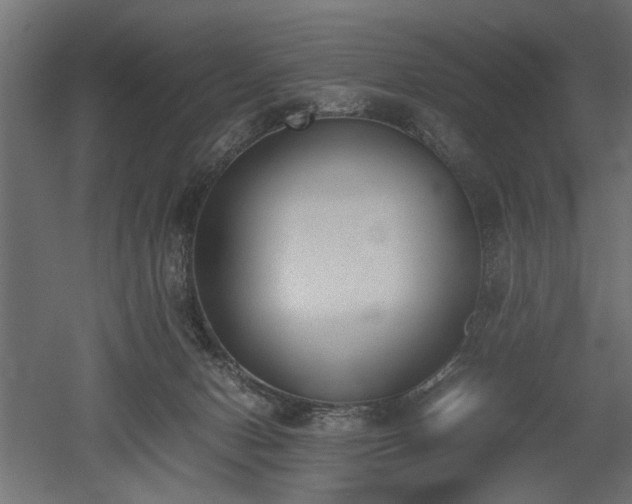 X0000052610078200507011238