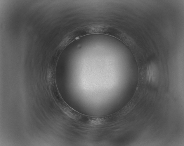 X0000052610079200507011238