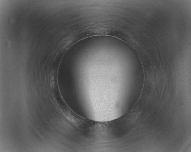 X0000052610080200507011238