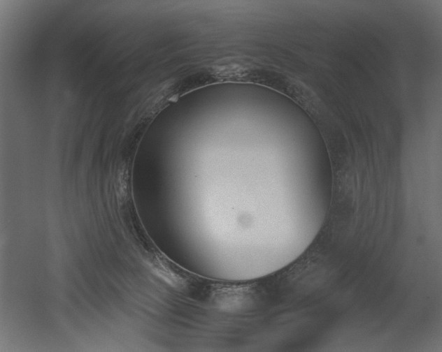 X0000052610081200507011238