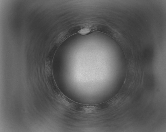 X0000052610085200507011238