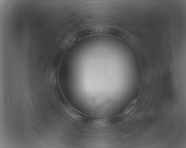 X0000052610086200507011238